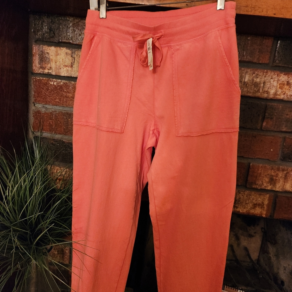 AERIE Super cute ,comfy  ,Elavated jogger pant. With ties at waist...